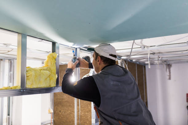 Best DIY Insulation Kits and Guidance in Lipatria, CA
