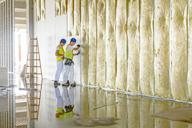 Best Residential Insulation in Lipatria, CA
